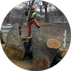 Profile photo of lopez gerardo