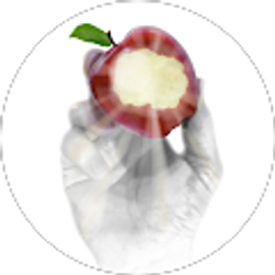 Profile photo of Adrien Fiorucci