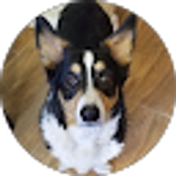 Profile photo of Charlene Cortese