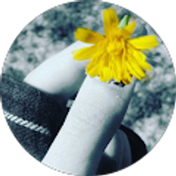 Profile photo of Holly Ergle