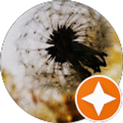 Profile photo of Tisha Posey