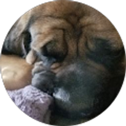 Profile photo of Heather Schultz