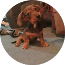 Profile photo of Tyler Henderson