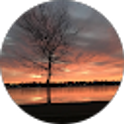 Profile photo of spencer brindley