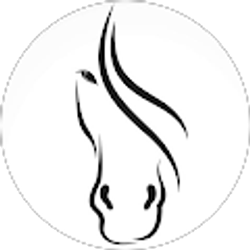 Profile photo of Jo Wynn