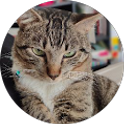 Profile photo of Jordan Kelly