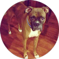 Profile photo of Delaney Miletics