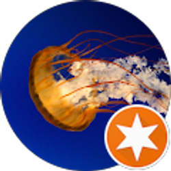 Profile photo of Avery Kucan