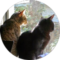 Profile photo of Sandy Armst