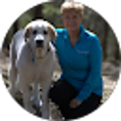 Profile photo of Suzie Crisp