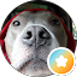 Profile photo of V Rich