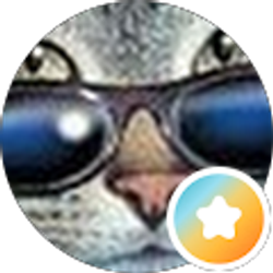 Profile photo of Stuart Trock