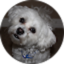 Profile photo of Holly Skelton
