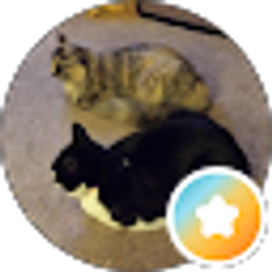 Profile photo of Becky W