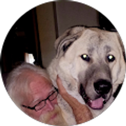 Profile photo of stormy cuba