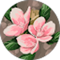 Profile photo of moria mortashed
