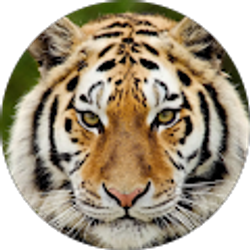 Profile photo of jenn o