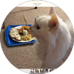 Profile photo of Aiz Mor