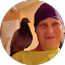 Profile photo of Shelly Balbuena