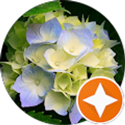 Profile photo of Theresa Hock