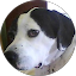 Profile photo of Alison Peek