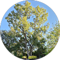 Profile photo of Reed Coffelt