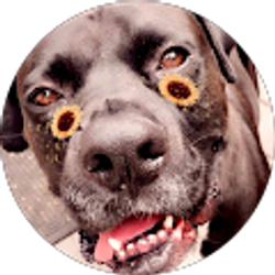 Profile photo of Bethany Freitas