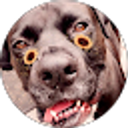 Profile photo of Bethany Freitas