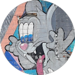 Profile photo of Nico