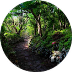 Profile photo of Ben Wiener