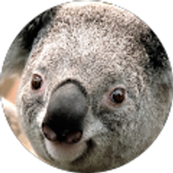 Profile photo of JC Cerv