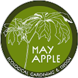 Profile photo of Meg Graham