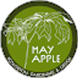 Profile photo of Meg Graham