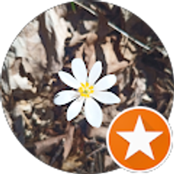 Profile photo of Intention 8