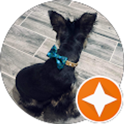 Profile photo of Sarah Reyes