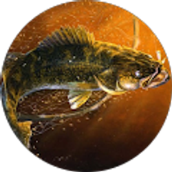 Profile photo of Bart Hamilton