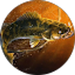 Profile photo of Bart Hamilton