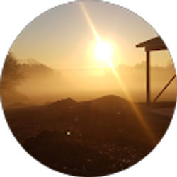 Profile photo of Debbie Martin