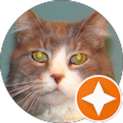 Profile photo of Jeni Knutson