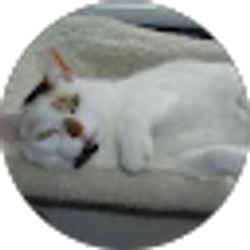 Profile photo of April Ryczak