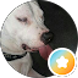 Profile photo of Justin Antwine