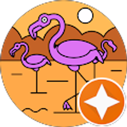 Profile photo of Rafael Rosete