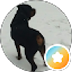 Profile photo of kendall trice