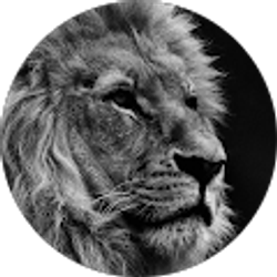 Profile photo of Jordan Tasker