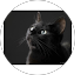 Profile photo of Shadow Lunar
