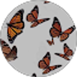 Profile photo of Hailey W