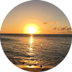 Profile photo of Barbara Hall