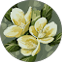 Profile photo of Lifang Johnston