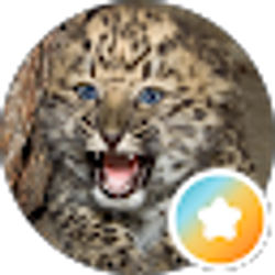 Profile photo of Adelisca LeBlanc