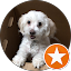 Profile photo of Cam